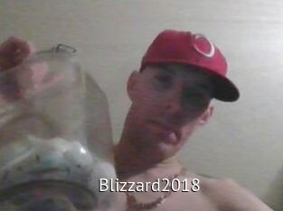 Blizzard2018