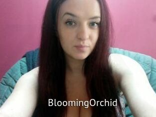 BloomingOrchid