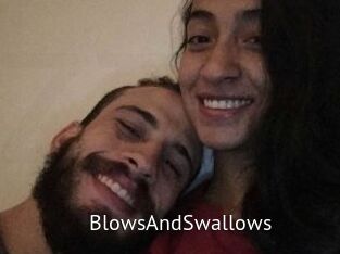 BlowsAndSwallows