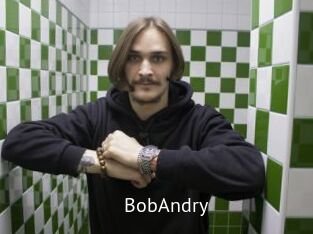 BobAndry