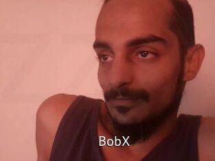 BobX Zizi X