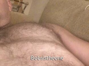 Bobsistheone