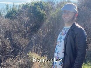 BrandonLevi