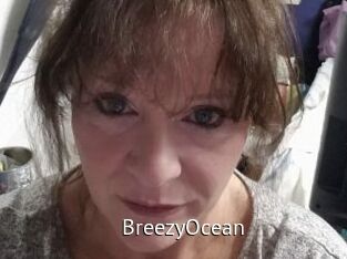 BreezyOcean