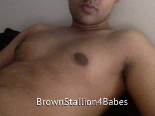 BrownStallion4Babes