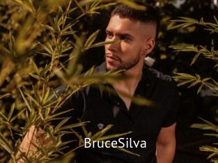BruceSilva