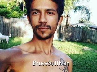Bruce_Sullivan Zizi X