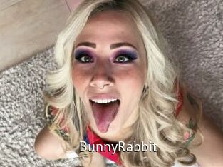 BunnyRabbit