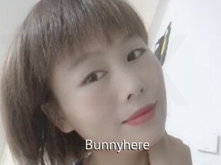 Bunnyhere
