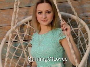 BurningOfLovee