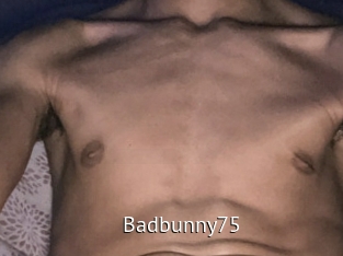 Badbunny75