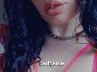 Badgarce
