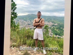 Bamihiam_camaron
