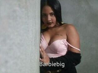 barbiebig Zizi X
