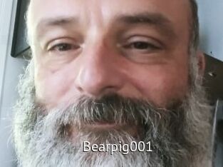 Bearpig001