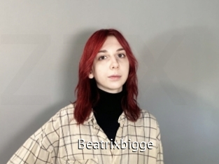 Beatrixbigge