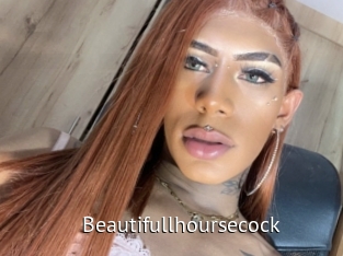 Beautifullhoursecock