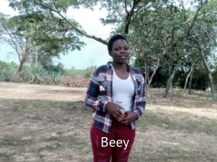 beey Zizi X