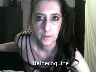 Belgecoquine