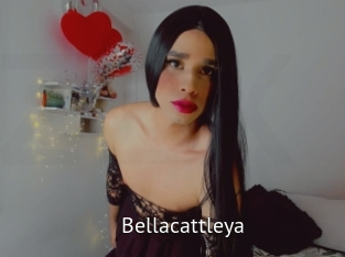 Bellacattleya
