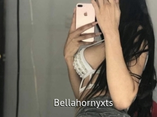 bellahornyxts Zizi X