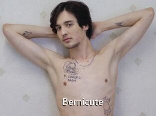Bernicute