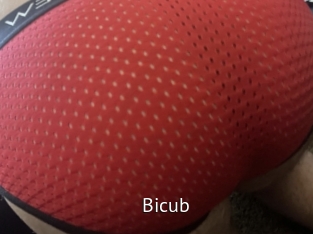 Bicub