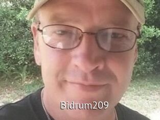 Bidrum209