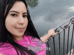 Bigassrossy
