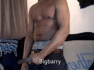 Bigbarry