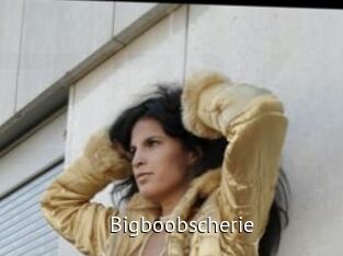 Bigboobscherie