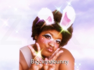 Bigcinnabunny