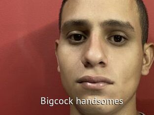 Bigcock_handsomes