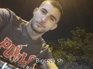 Bigcock_sh