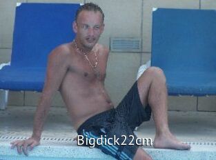 Bigdick22cm