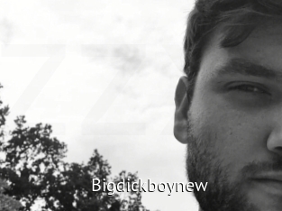 Bigdickboynew