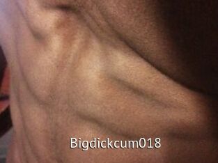 Bigdickcum018