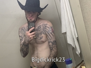 bigdickrick23 Zizi X