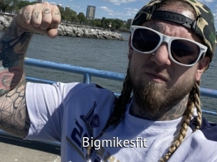Bigmikesfit