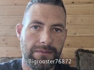 Bigrooster76872