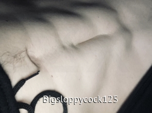 Bigsloppycock125
