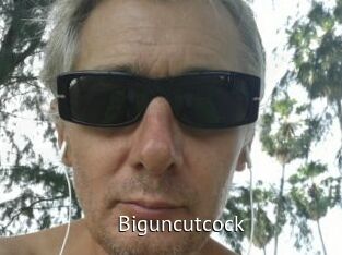 Biguncutcock