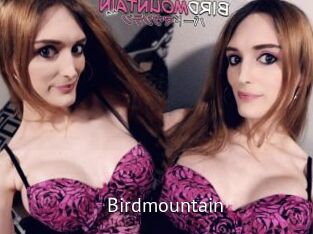 Birdmountain