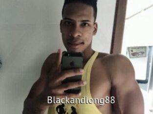 Blackandlong88
