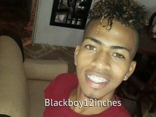 Blackboy12inches