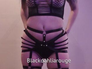 Blackdahliarouge