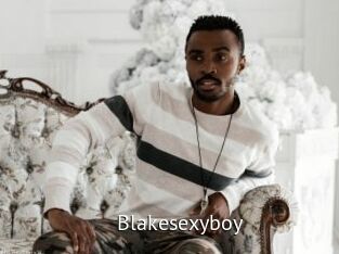 Blakesexyboy