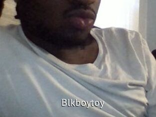 blkboytoy Zizi X