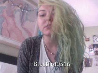 Bluebird0316