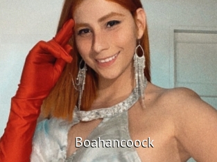 boahancoock Zizi X